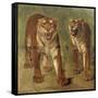 Tigre royal furieux-Rosa Bonheur-Framed Stretched Canvas