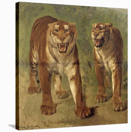 Tigre royal furieux-Rosa Bonheur-Stretched Canvas