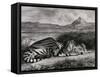 Tigre royal-Eugene Delacroix-Framed Stretched Canvas