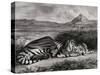 Tigre royal-Eugene Delacroix-Stretched Canvas