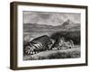 Tigre royal-Eugene Delacroix-Framed Giclee Print