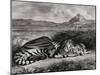 Tigre royal-Eugene Delacroix-Mounted Giclee Print