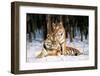 Tigres-Gilles Santantonio-Framed Art Print