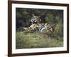 Tigress and Cubs-Spencer Hodge-Framed Giclee Print