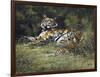 Tigress and Cubs-Spencer Hodge-Framed Giclee Print