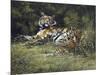 Tigress and Cubs-Spencer Hodge-Mounted Giclee Print