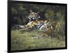 Tigress and Cubs-Spencer Hodge-Framed Giclee Print