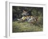 Tigress and Cubs-Spencer Hodge-Framed Giclee Print
