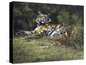 Tigress and Cubs-Spencer Hodge-Stretched Canvas