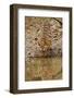 Tigress Drinking at the Waterhole, Tadoba Andheri Tiger Reserve, India-Jagdeep Rajput-Framed Photographic Print