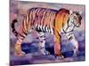 Tigress, Khana, India, 1999-Mark Adlington-Mounted Giclee Print