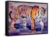 Tigress, Khana, India, 1999-Mark Adlington-Framed Stretched Canvas