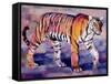 Tigress, Khana, India, 1999-Mark Adlington-Framed Stretched Canvas