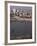 Tigris River, Baghdad, Iraq, Middle East-Guy Thouvenin-Framed Photographic Print