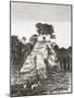 Tikal, Guatemala, Central America: the Temple of the Jaguar-null-Mounted Giclee Print