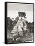 Tikal, Guatemala, Central America: the Temple of the Jaguar-null-Framed Stretched Canvas