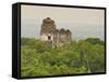 Tikal National Park (Parque Nacional Tikal), UNESCO World Heritage Site, Guatemala, Central America-Michael DeFreitas-Framed Stretched Canvas