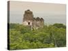 Tikal National Park (Parque Nacional Tikal), UNESCO World Heritage Site, Guatemala, Central America-Michael DeFreitas-Stretched Canvas