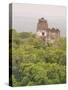 Tikal National Park (Parque Nacional Tikal), UNESCO World Heritage Site, Guatemala, Central America-Michael DeFreitas-Stretched Canvas