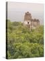 Tikal National Park (Parque Nacional Tikal), UNESCO World Heritage Site, Guatemala, Central America-Michael DeFreitas-Stretched Canvas