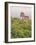 Tikal National Park (Parque Nacional Tikal), UNESCO World Heritage Site, Guatemala, Central America-Michael DeFreitas-Framed Photographic Print