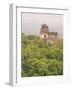 Tikal National Park (Parque Nacional Tikal), UNESCO World Heritage Site, Guatemala, Central America-Michael DeFreitas-Framed Photographic Print