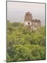 Tikal National Park (Parque Nacional Tikal), UNESCO World Heritage Site, Guatemala, Central America-Michael DeFreitas-Mounted Photographic Print