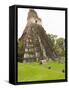 Tikal National Park (Parque Nacional Tikal), UNESCO World Heritage Site, Guatemala, Central America-Michael DeFreitas-Framed Stretched Canvas