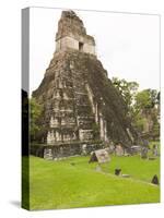 Tikal National Park (Parque Nacional Tikal), UNESCO World Heritage Site, Guatemala, Central America-Michael DeFreitas-Stretched Canvas