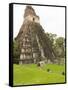 Tikal National Park (Parque Nacional Tikal), UNESCO World Heritage Site, Guatemala, Central America-Michael DeFreitas-Framed Stretched Canvas