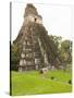 Tikal National Park (Parque Nacional Tikal), UNESCO World Heritage Site, Guatemala, Central America-Michael DeFreitas-Stretched Canvas