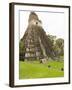 Tikal National Park (Parque Nacional Tikal), UNESCO World Heritage Site, Guatemala, Central America-Michael DeFreitas-Framed Photographic Print