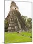 Tikal National Park (Parque Nacional Tikal), UNESCO World Heritage Site, Guatemala, Central America-Michael DeFreitas-Mounted Photographic Print