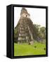 Tikal National Park (Parque Nacional Tikal), UNESCO World Heritage Site, Guatemala, Central America-Michael DeFreitas-Framed Stretched Canvas