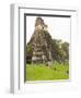 Tikal National Park (Parque Nacional Tikal), UNESCO World Heritage Site, Guatemala, Central America-Michael DeFreitas-Framed Photographic Print