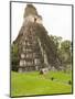 Tikal National Park (Parque Nacional Tikal), UNESCO World Heritage Site, Guatemala, Central America-Michael DeFreitas-Mounted Photographic Print