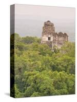 Tikal National Park (Parque Nacional Tikal), UNESCO World Heritage Site, Guatemala, Central America-Michael DeFreitas-Stretched Canvas