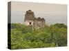 Tikal National Park (Parque Nacional Tikal), UNESCO World Heritage Site, Guatemala, Central America-Michael DeFreitas-Stretched Canvas