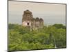 Tikal National Park (Parque Nacional Tikal), UNESCO World Heritage Site, Guatemala, Central America-Michael DeFreitas-Mounted Photographic Print