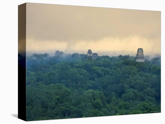 Tikal Pyramid Ruins and Rainforest, Dawn, Guatemala-Michele Falzone-Stretched Canvas