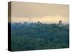 Tikal Pyramid Ruins and Rainforest, Dawn, Guatemala-Michele Falzone-Stretched Canvas