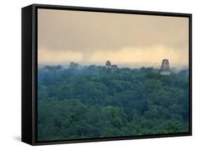 Tikal Pyramid Ruins and Rainforest, Dawn, Guatemala-Michele Falzone-Framed Stretched Canvas