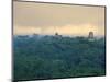 Tikal Pyramid Ruins and Rainforest, Dawn, Guatemala-Michele Falzone-Mounted Photographic Print