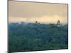 Tikal Pyramid Ruins and Rainforest, Dawn, Guatemala-Michele Falzone-Mounted Photographic Print