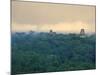 Tikal Pyramid Ruins and Rainforest, Dawn, Guatemala-Michele Falzone-Mounted Photographic Print