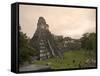 Tikal Pyramid Ruins, Guatemala-Michele Falzone-Framed Stretched Canvas