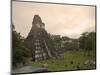 Tikal Pyramid Ruins, Guatemala-Michele Falzone-Mounted Photographic Print