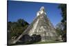 Tikal temple 1, Pre-Columbian Maya civilisation, Tikal, UNESCO World Heritage Site, Guatemala-Peter Groenendijk-Stretched Canvas