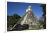 Tikal temple 1, Pre-Columbian Maya civilisation, Tikal, UNESCO World Heritage Site, Guatemala-Peter Groenendijk-Framed Photographic Print