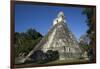 Tikal temple 1, Pre-Columbian Maya civilisation, Tikal, UNESCO World Heritage Site, Guatemala-Peter Groenendijk-Framed Photographic Print